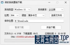 微软系统直链下载工具（v1.3.4.9）