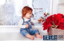 想做自由摄影师，要不要辞职？收入怎么办？这篇文章告诉你